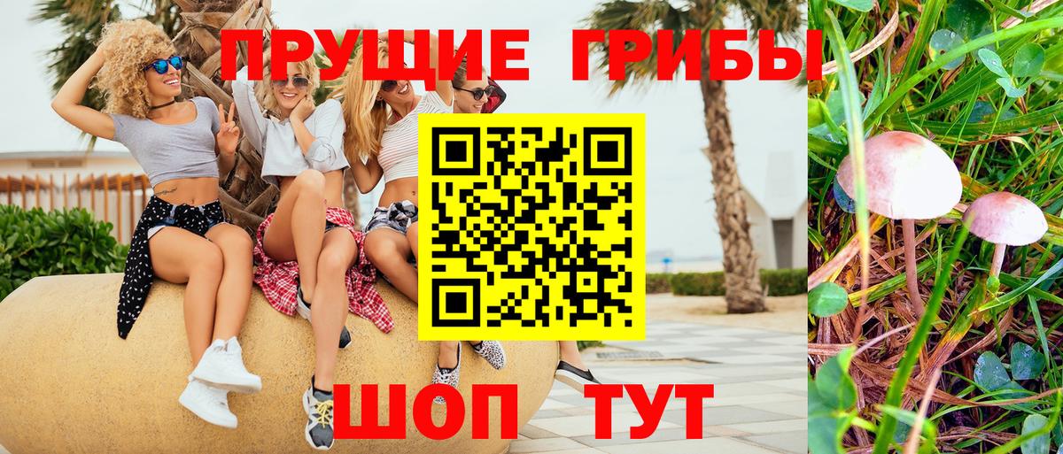 Псилоцибиновые грибы прущие грибы  Вход с VPN  Липецк  Псилоцибиновые грибы Psilocybe 