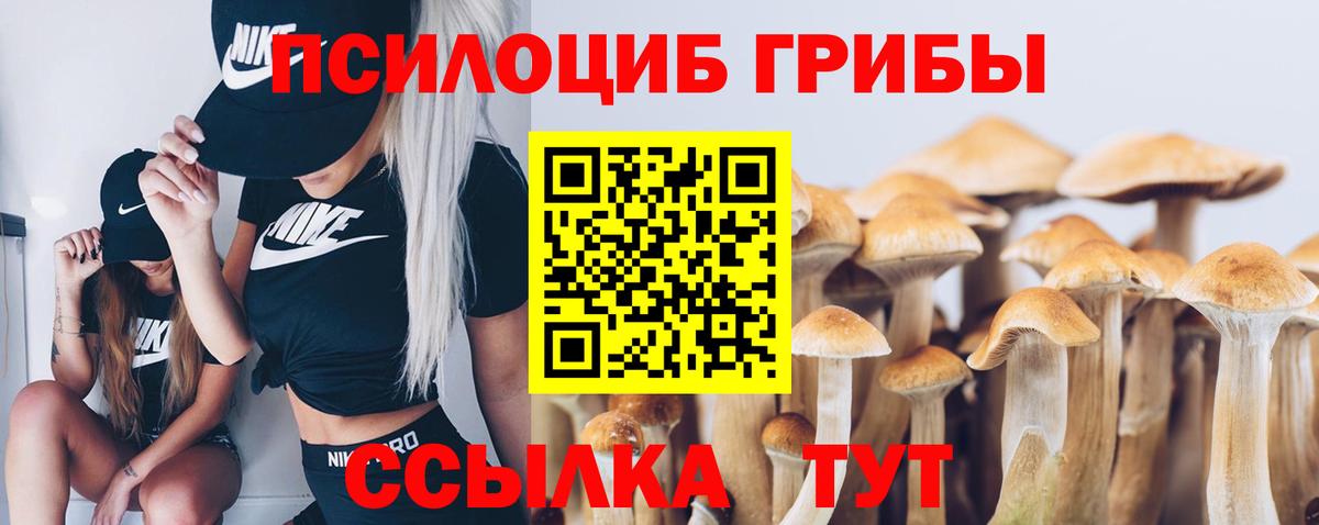 Псилоцибиновые грибы Cubensis Липецк
